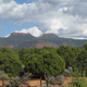 Bears Ears (Image: Brewbooks/Flickr)